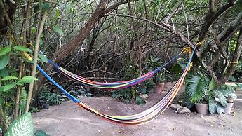 Manglar Pacific
