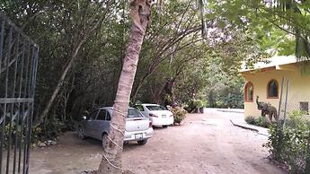 Manglar Pacific