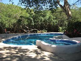 Manglar Pacific