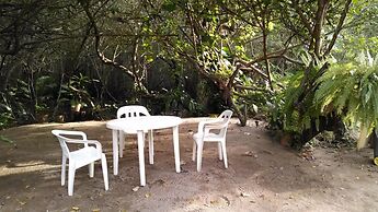 Manglar Pacific