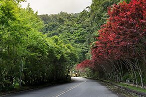 Cilan Resort