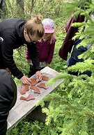 Buustamons Fjällgård
