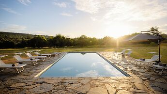 Zebras Crossing Lodge