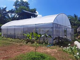Wangnamkhao Resort