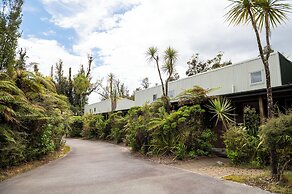 Punga Grove