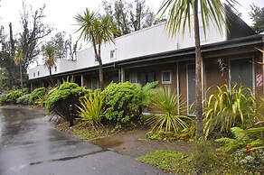 Punga Grove