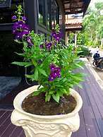 At Lamai Resort