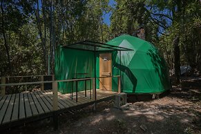 Cabañas Ensenada Bosque Nativo