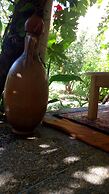 Riad Igrane