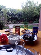 Riad Igrane