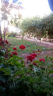 Riad Igrane