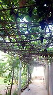 Riad Igrane