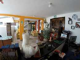 Cusco Packers Hostels