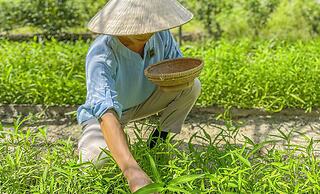 Fusion Resort Cam Ranh