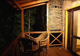 Selva de Laurel