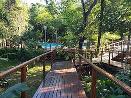 Selva de Laurel