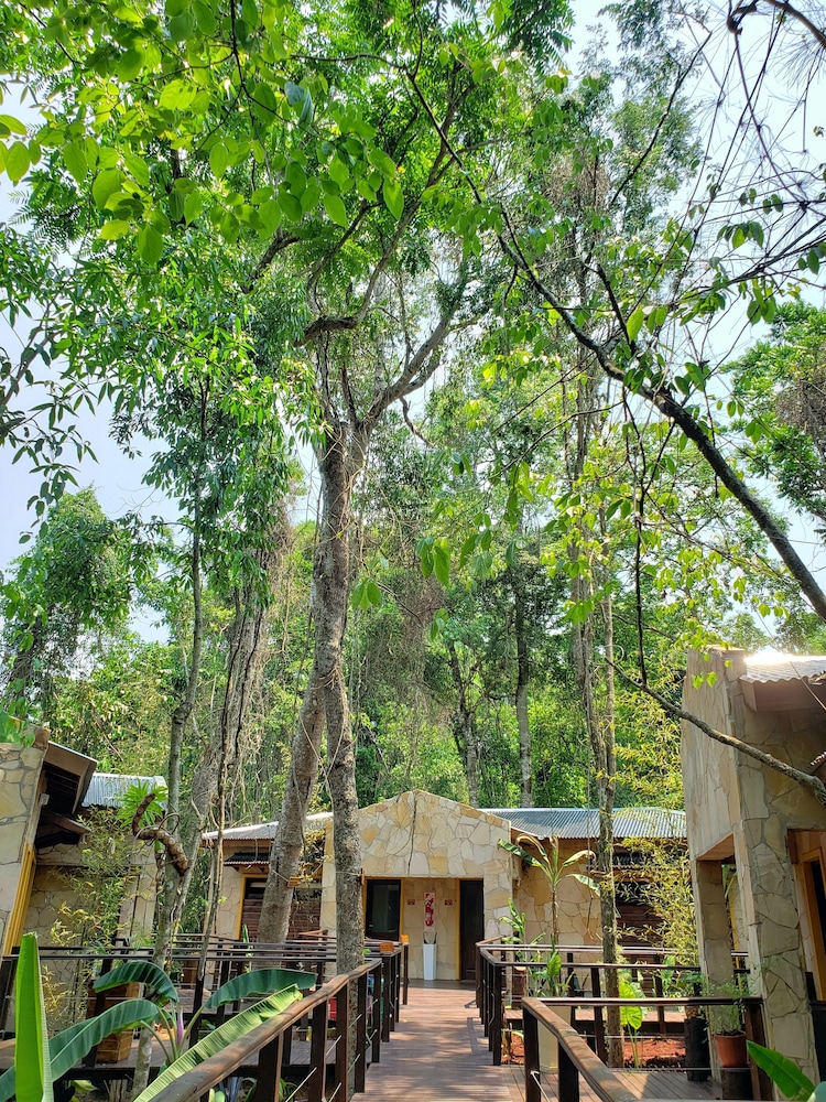 Selva de Laurel