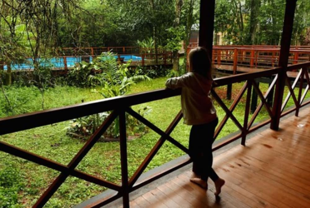 Selva de Laurel