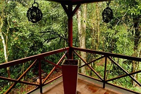 Selva de Laurel