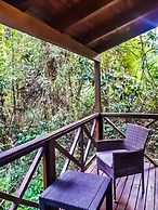 Selva de Laurel