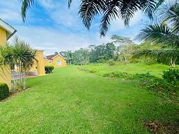 Amatique Bay Hotel