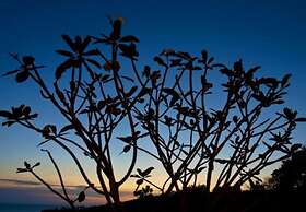 Chintakiri Resort