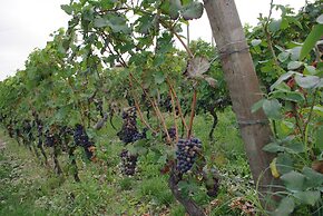 NaturalMente Wine Resort