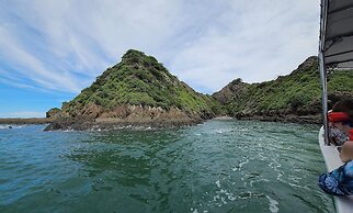 Vista Ballena
