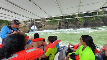 Vista Ballena
