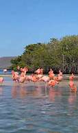 Royal Galapagos Inn