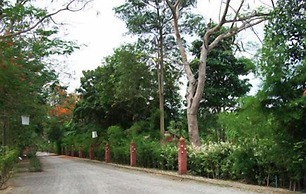 Pongsuda Chalet