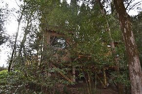 Hotel Les Cabanes Dans Les Bois
