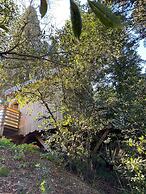 Hotel Les Cabanes Dans Les Bois