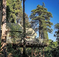 Hotel Les Cabanes Dans Les Bois