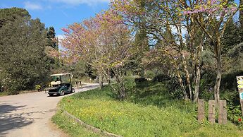 Hotel Les Cabanes Dans Les Bois