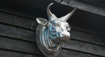 Bull Farm Studios