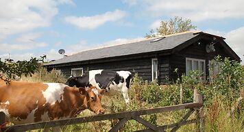 Bull Farm Studios