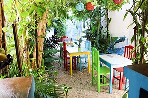 Vainilla B&B Mexico