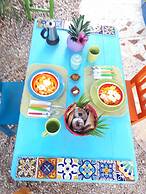 Vainilla B&B Mexico