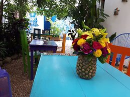 Vainilla B&B Mexico
