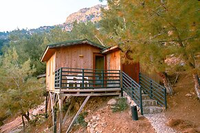 Tree Houses