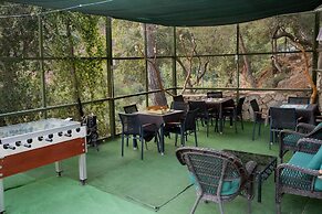 Tree Houses