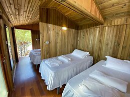 Tree Houses