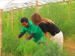 Bagus Agro Pelaga
