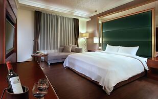 Hotel Modern Puli