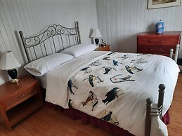 Gîte La Bergeronnette