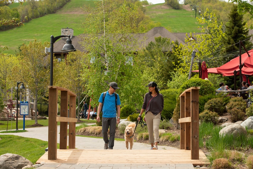 Blue Mountain Resort Village Suites