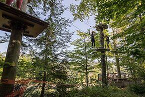 Blue Mountain Resort Village Suites