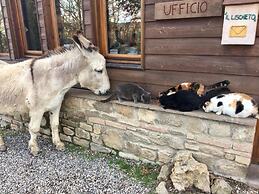 Fattoria Lischeto