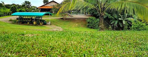 Hotel del Bosque